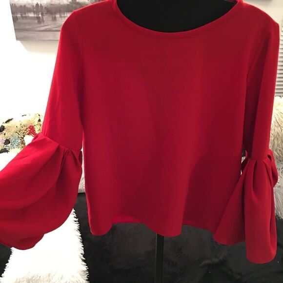 ZARA BIG PLEATED SLEEVE TOP - Picture 3 of 4